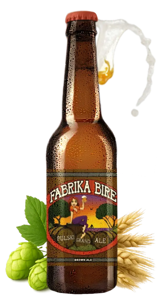 PulskiAmber ale